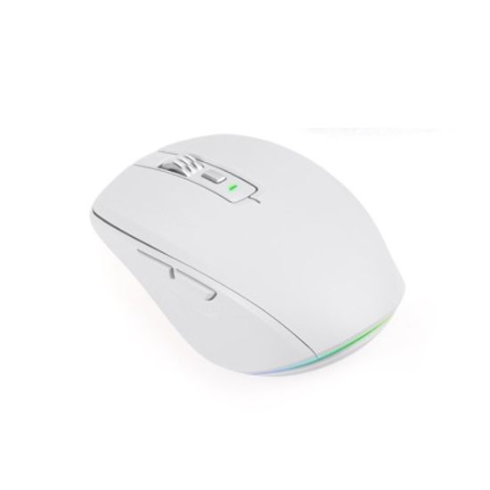 블루투스 무선 마우스 / 충전식 (화이트) CYRT684