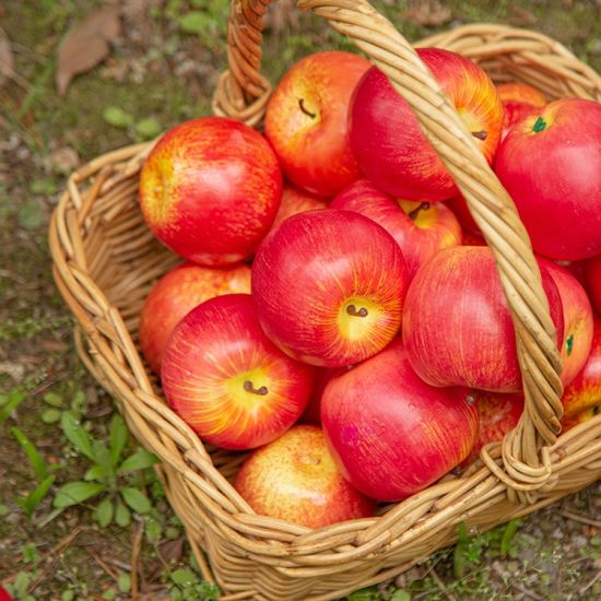 빨간 사과 모형(8cm) 1개