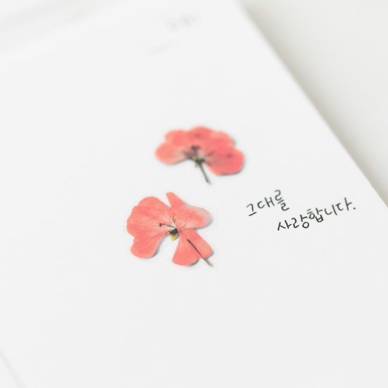압화스티커_제라늄