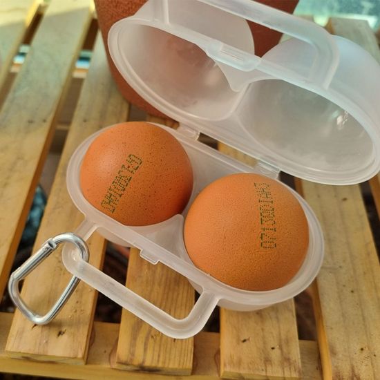 2구 휴대용 계란 보관함 에그 케이스(WFFGESW)