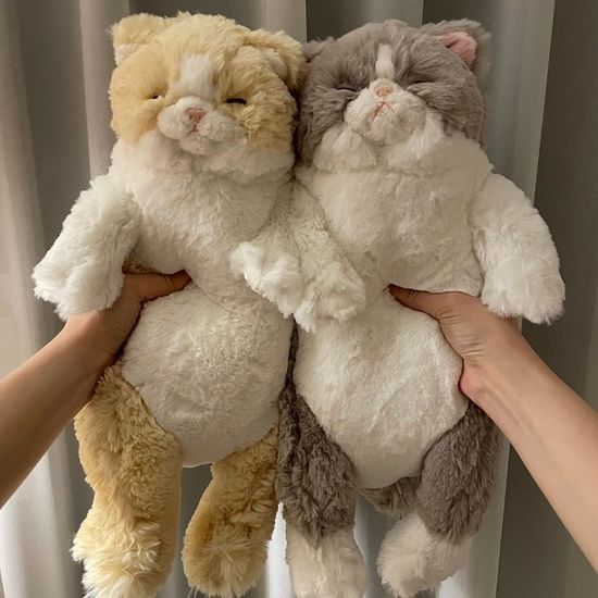 무릎인형★잠자는 쓰야쓰야 고양이