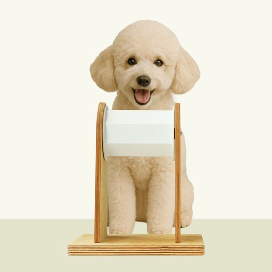 강아지 고양이 급체방지 슬로우식기 노즈워크 국내산