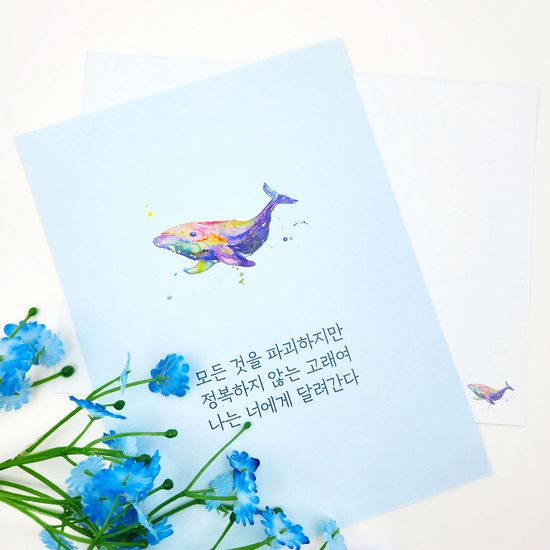 모비딕 필사엽서+볼펜+책갈피세트
