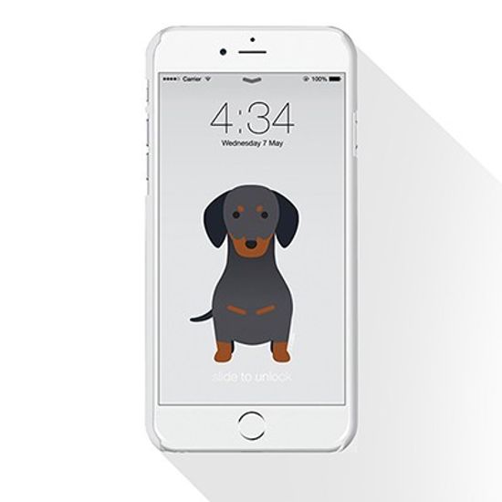 PLUSBOX HULA PET (Dachshund Hula) / 케이스