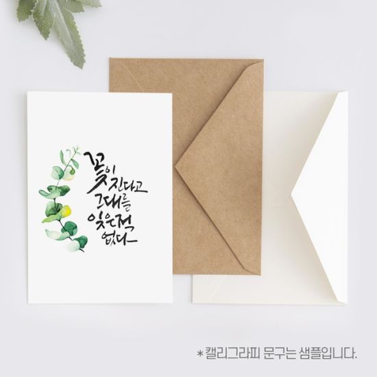 [앳원스]캘리그라피 플라워 수채화 무지엽서 vol-3