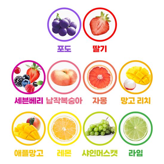 담터 포켓몬 과일 콤부차 10T (10종 택1)