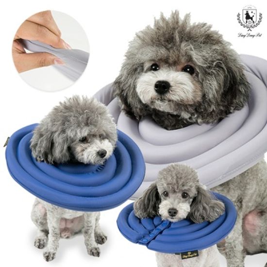 [딩동펫]애완 초경량 넥카라 애견깔대기