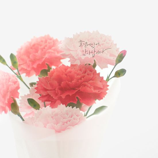 스티키리프_카네이션(Red,M)