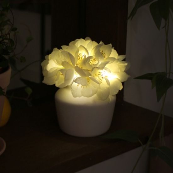 릴리 LED 무드등 - lily LED