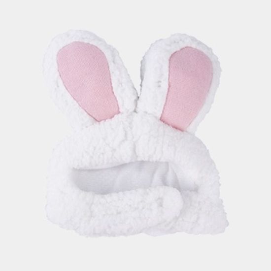 Pet Bunny Hat 펫바니햇