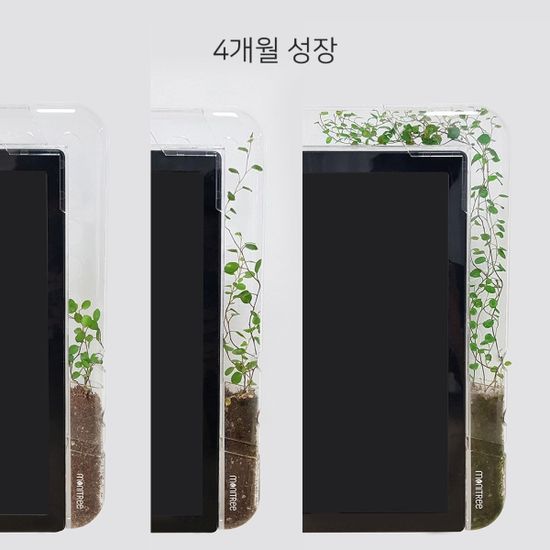 Mini 모니트리+식물 조명 - 모니터 타고 자라는 식물