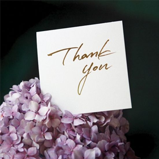 카드/축하카드/감사카드/연하장/미니카드 Thank you FT0-1