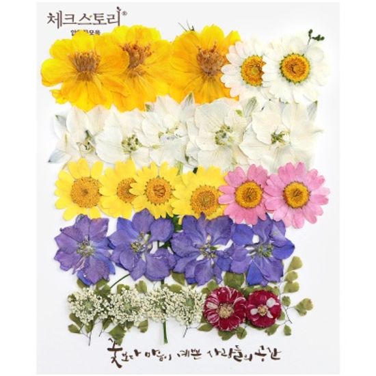 [압화 꽃모음 - B타입] 봄의정원 꽃모음