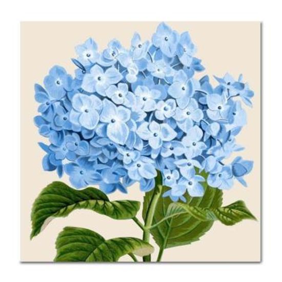 DIY 페인팅 블루 하이드렌저 PE47 (25x25)