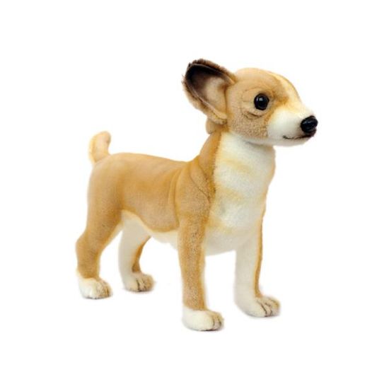 6295 치와와 강아지 동물인형/27cm.L