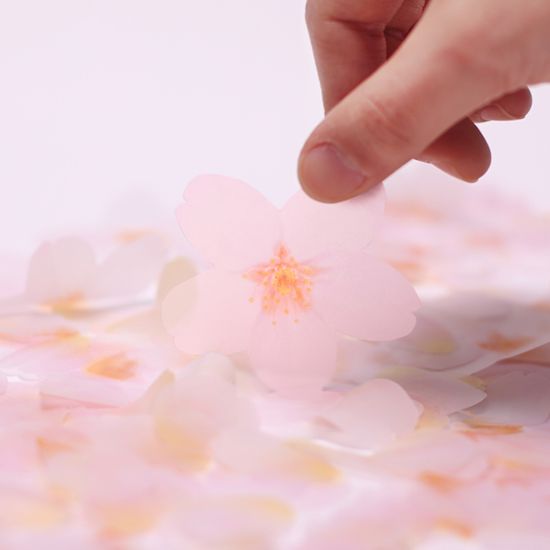 스티키리프_투명벚꽃(Pink,S)