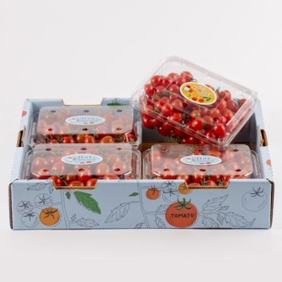 달향 GAP 스낵토마토 750gx3팩+미니1팩증정(총3kg)