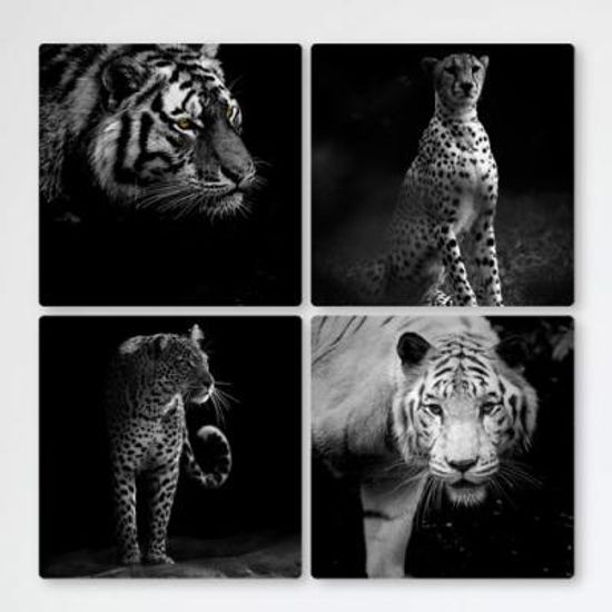 cf399-멀티액자_흑백사진을뚫고나오는카리스마