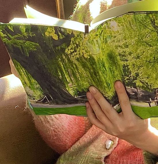 딩고스토리 비포슬립 타이벡 북커버 