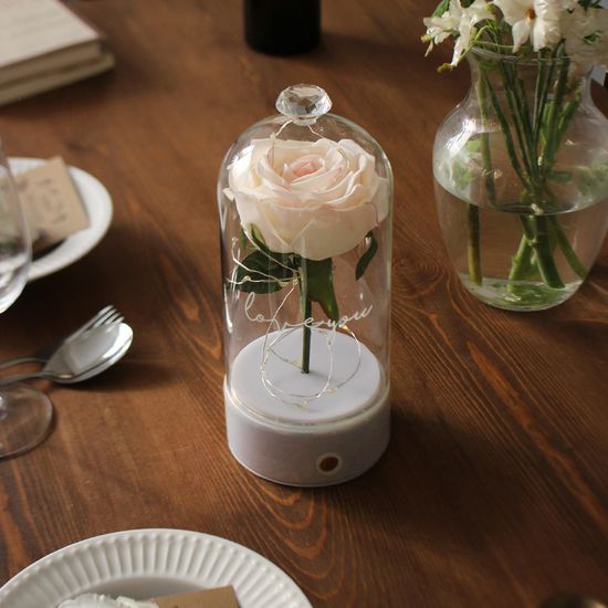 로즈 블랑돔 LED 무드등-Rose Blanc Dome led lights