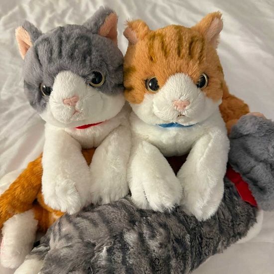 [선레몬] 무릎인형 고양이 S 줄무늬 브라운 챠시로