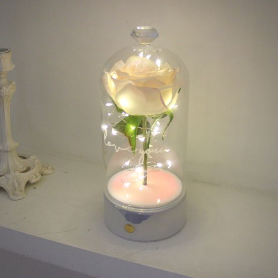 로즈 블랑돔 LED 무드등-Rose Blanc Dome led lights