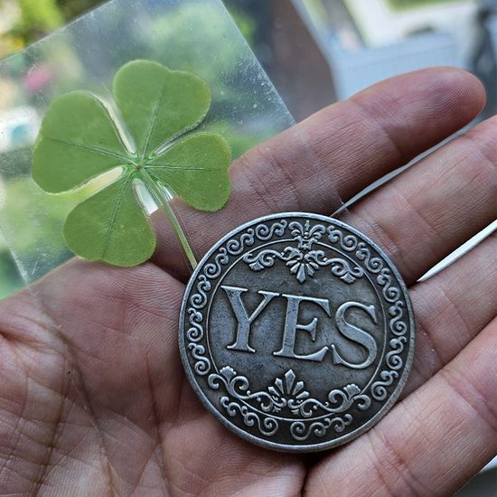 행운의 결정 동전 (+네잎클로버) 위로 응원 시험 선물