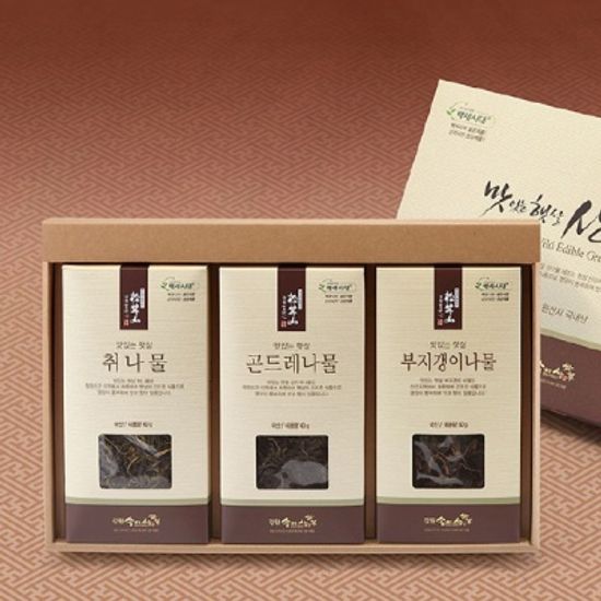 [속림山속] 햇살담은 산나물 3종 세트