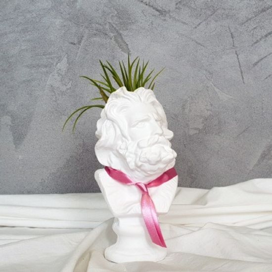 석고상화분 틸란드시아 드루이드+모스+리본 포함