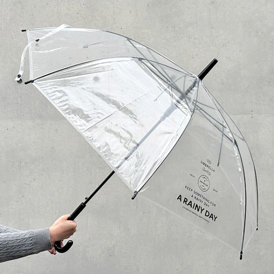 [A RAINY DAY] NEW 투명 우산