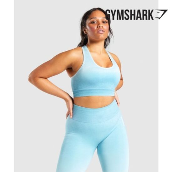 짐샤크 아답트 옴브레 심리스 스포츠브라 (GLSB5546)