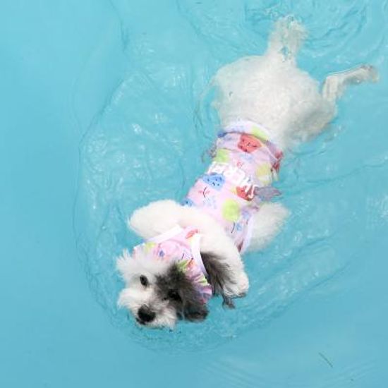 샤베트 래쉬가드 (핑크)