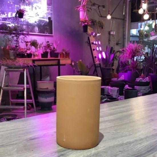 황토빛 원형-필통 9x14c W6DC75F