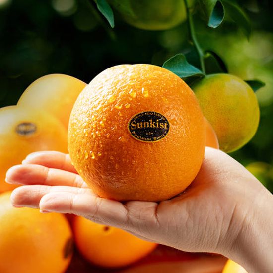 [대한민국농수산] 고당도 블랙라벨 오렌지