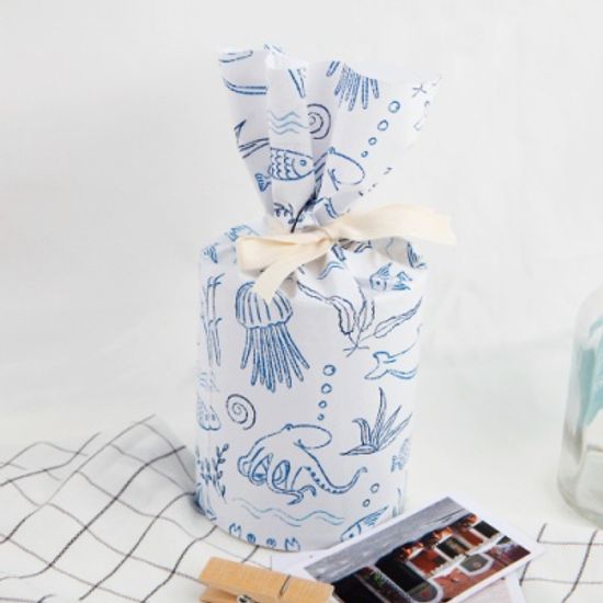 [기성]포장지아쿠아리움