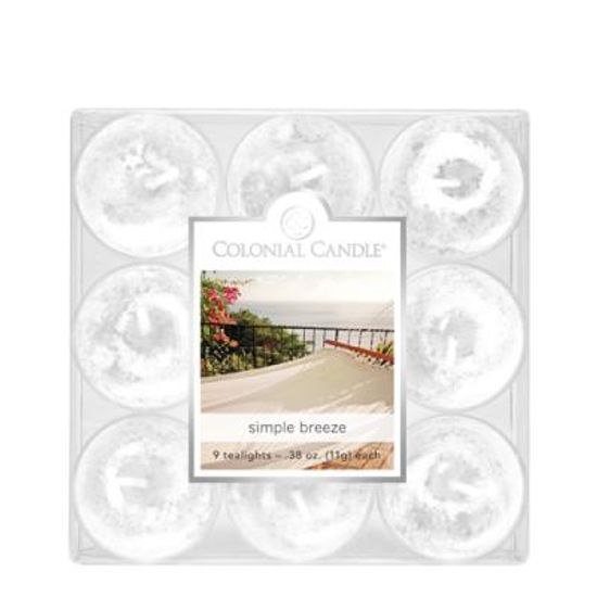 COLONIAL CANDLE 1896 티라이트 9pk 캔들 소박한 산들바람