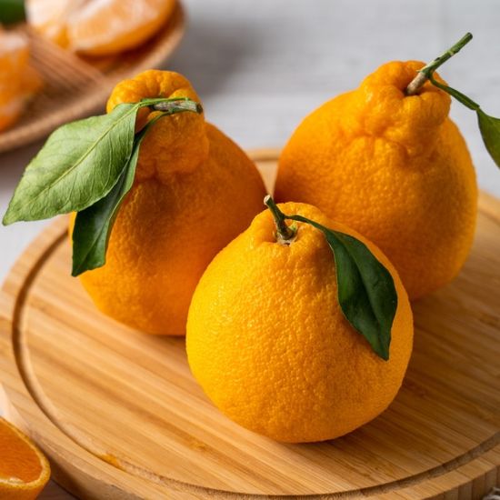 [바른팜] 제주 한라봉 3kg 보자기 과일 선물세트