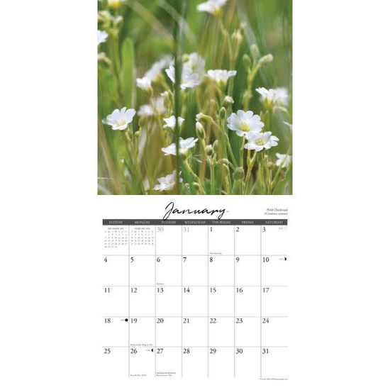 2026벽걸이캘린더 Wildflowers