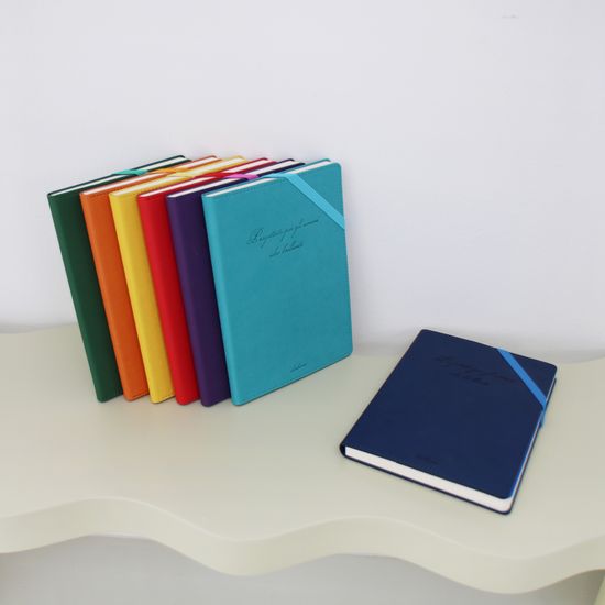 비팬시 마이데이 하드커버 카드포켓 만년 다이어리 A5