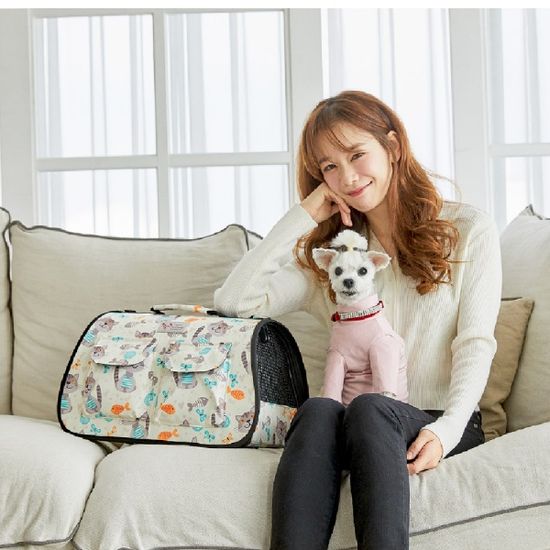 반려동물 강아지 고양이 이동식 가방 Cat Days