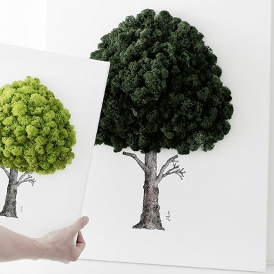 [앨빈디자인] 스칸디아모스 인테리어 액자 15호9color