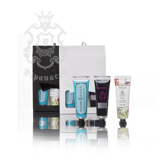 디파나시아 잉글리시데이지 30ml 비건 핸드크림