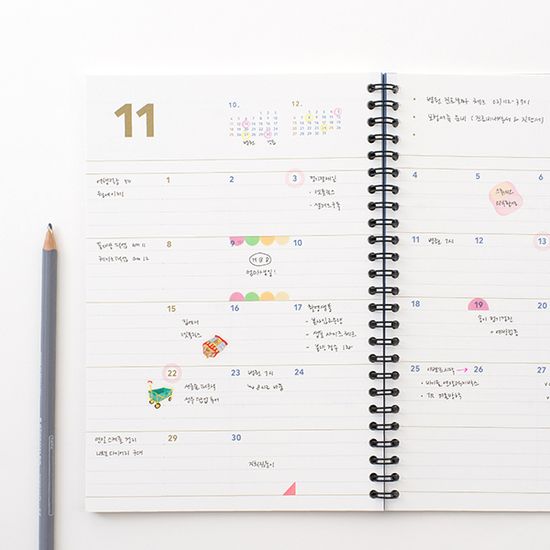 세컨 플래너 미디움 주간 2026년