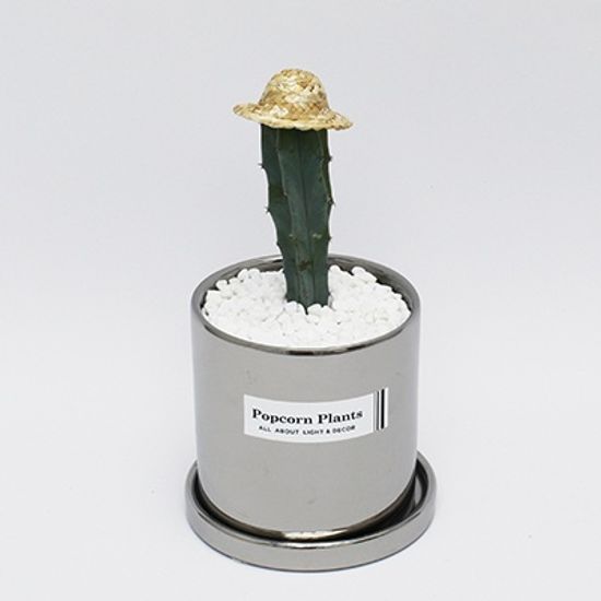 선인장 쁘띠 밀짚모자