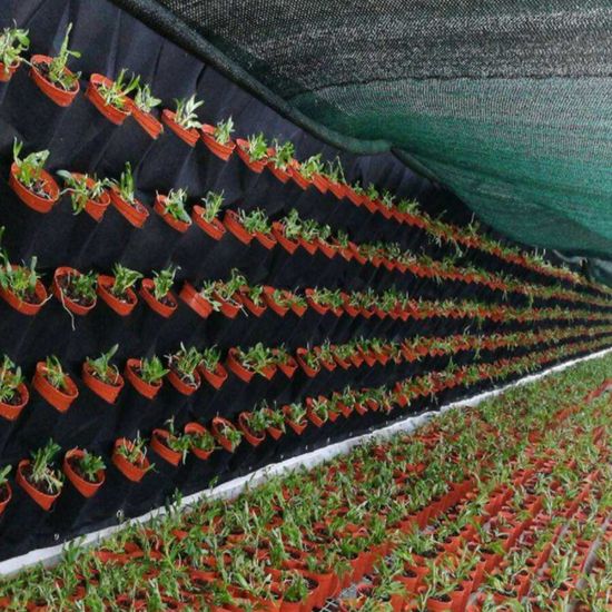 실내정원 행잉 부직포 벽화분(100x100cm) (64포켓)(WED83F1)