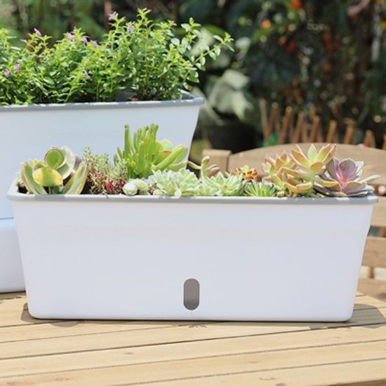 미니정원 자동급수 화분 다육이 상추 베란다 텃밭