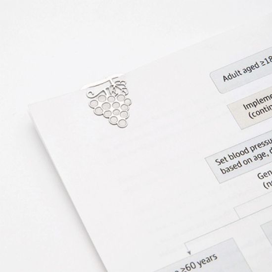 Etching Clips - 과일