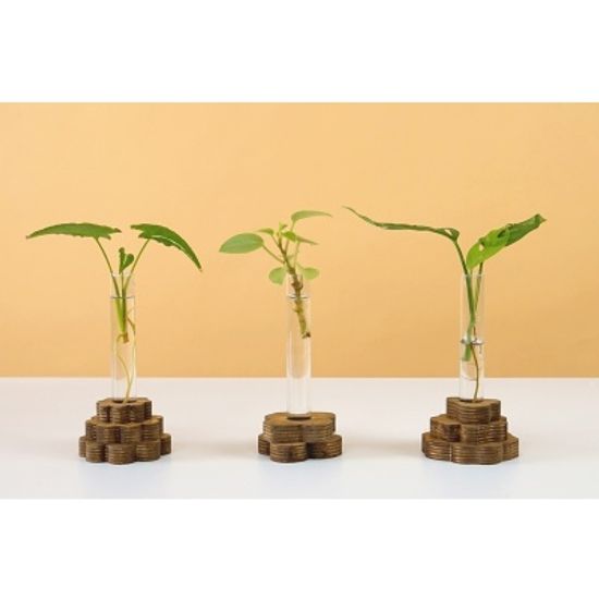 스택베이스 우드 오브제 수경 화병