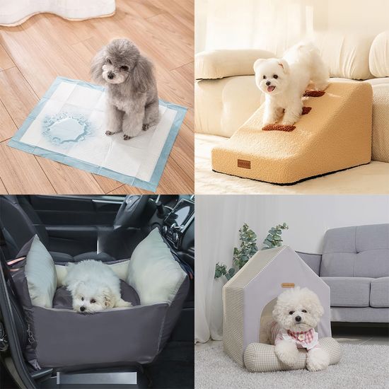 강아지 용품 모음전 배변패드 하우스 카시트 H746-OP