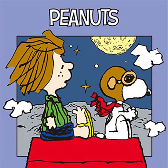 DIY 그림그리기 피너츠 스누피 플라이투더문 25x25